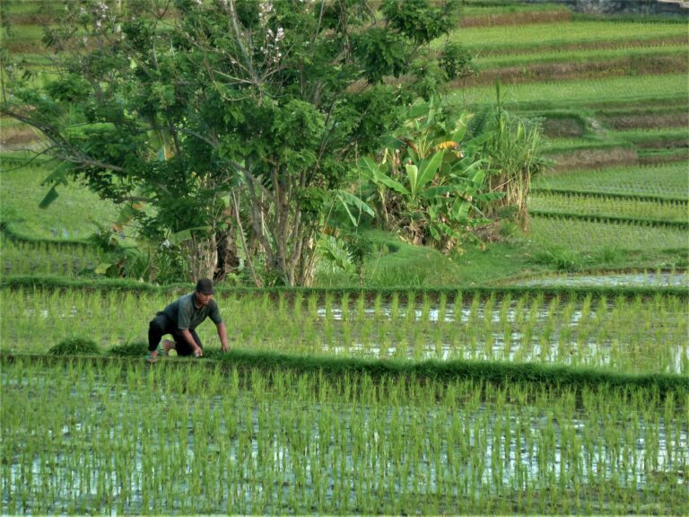 The town of Ubud, in the uplands of Bali, Indonesia, is known as a center for traditional crafts and dance. The surrounding Ubud District’s rainforest and terraced rice paddies, dotted with Hindu temples and shrines, are among Bali’s most famous landscapes. Ancient holy sites include the intricately carved Goa Gajah (“Elephant Cave”) and Gunung Kawi, with its rock-cut shrines.