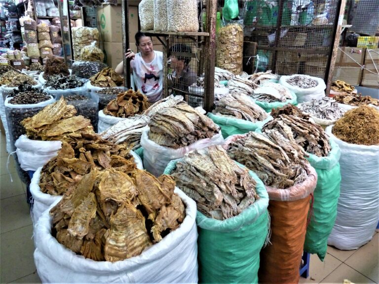 Minh Thành Vietnam, fish market, working all day long