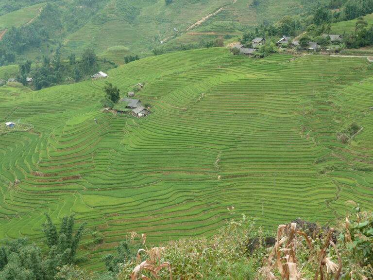 Sa Pa District in Lào Cai Province in north-west Vietnam