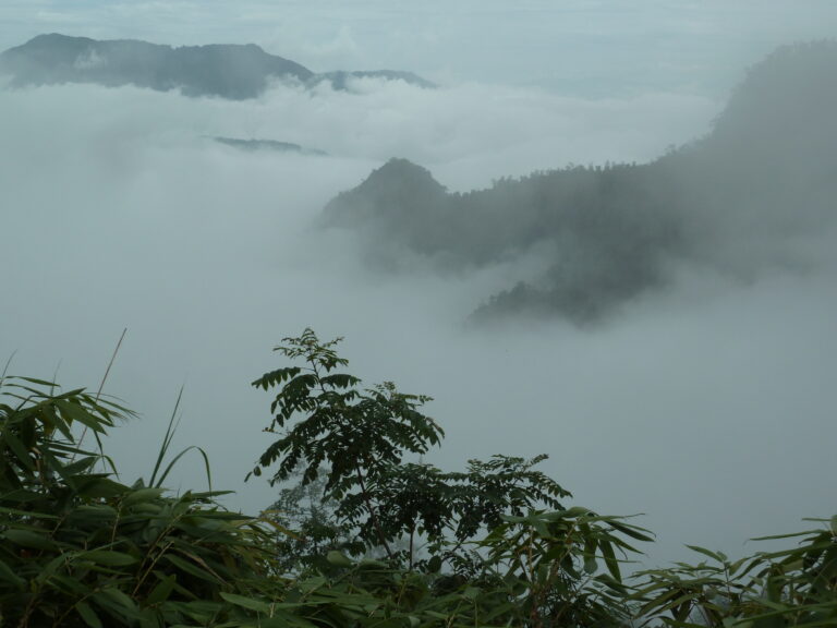 Morning fog when crossing over a mountain in Sa Pa District in Lào Cai Province in north-west Vietnam / unforgettable landscape