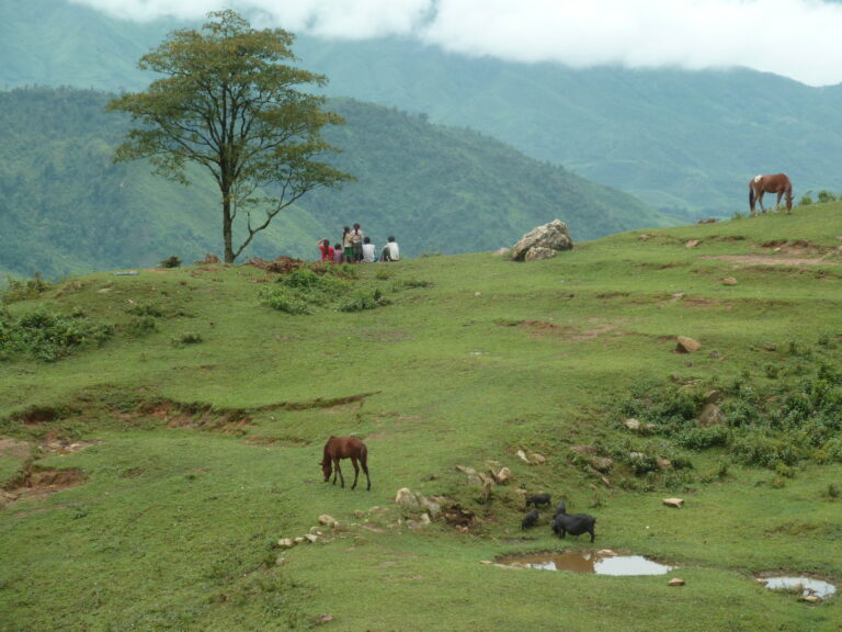 Sapa the very north of Vietnam, meeting with etnic minorities region north of Vietnam Human & Animals living in peace together