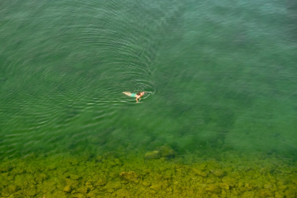 Lake Ohrid, Lin Albania