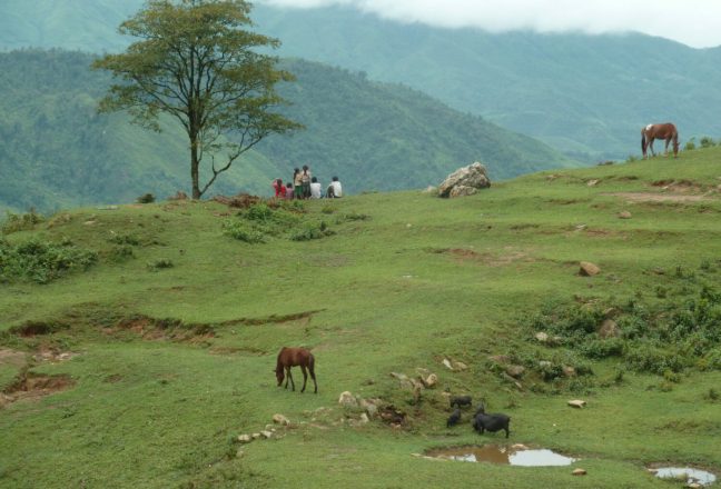 Sapa the very north of Vietnam, meeting with etnic minorities region north of Vietnam Human & Animals living in peace together